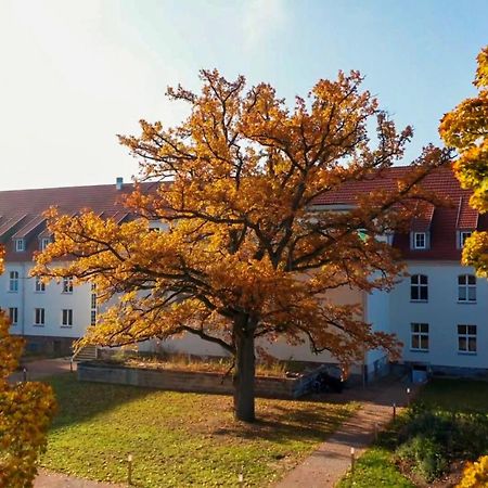 Parkresidenz Lychen, Ferienwohnung 8 Ngoại thất bức ảnh